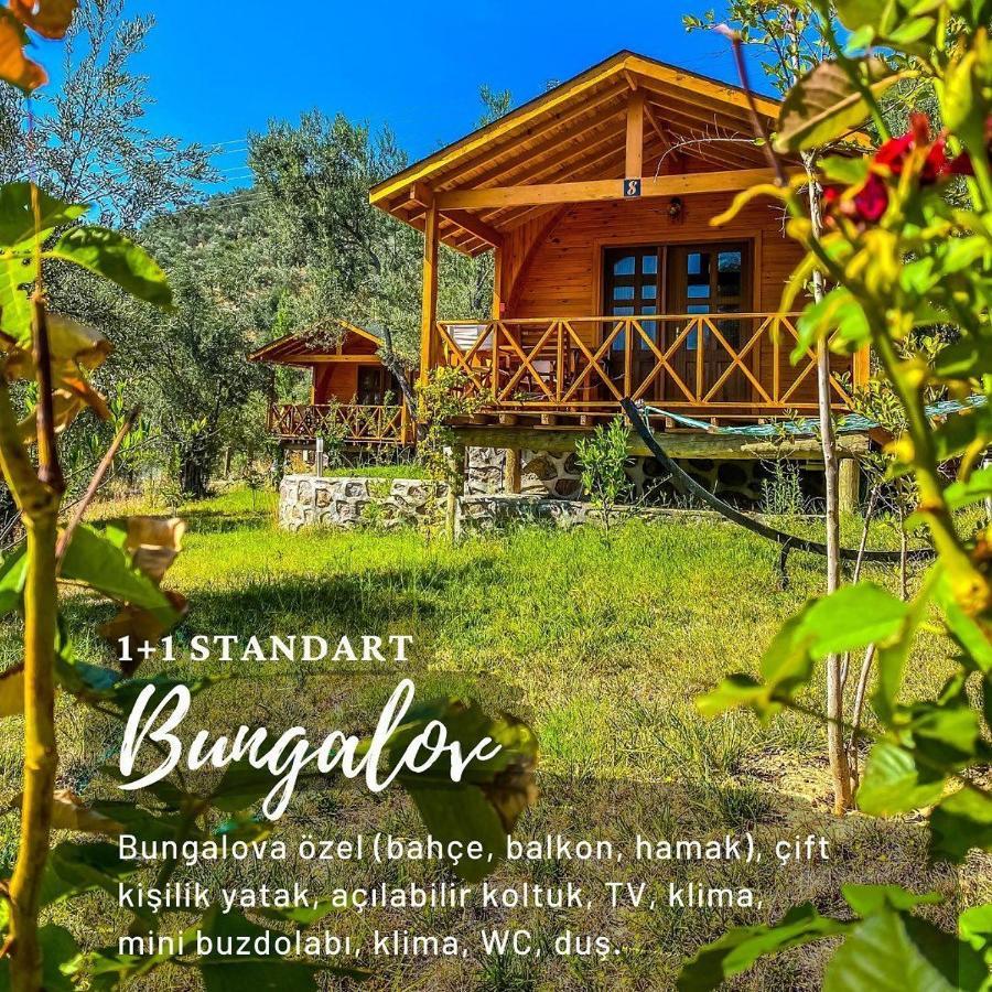 Kazdaglari Saglikli Yasam Koeyue Hotell Edremit  Exteriör bild
